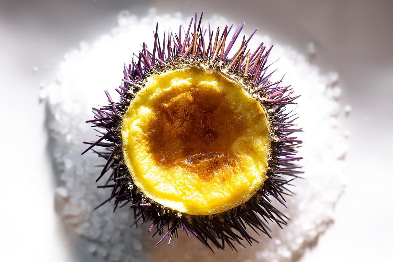 Mas De Torrent Hotel & Spa, Relais & Chateaux エクステリア 写真